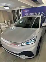 BYD Yuan Plus, 2024-6