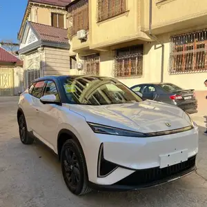 Dongfeng L7, 2025