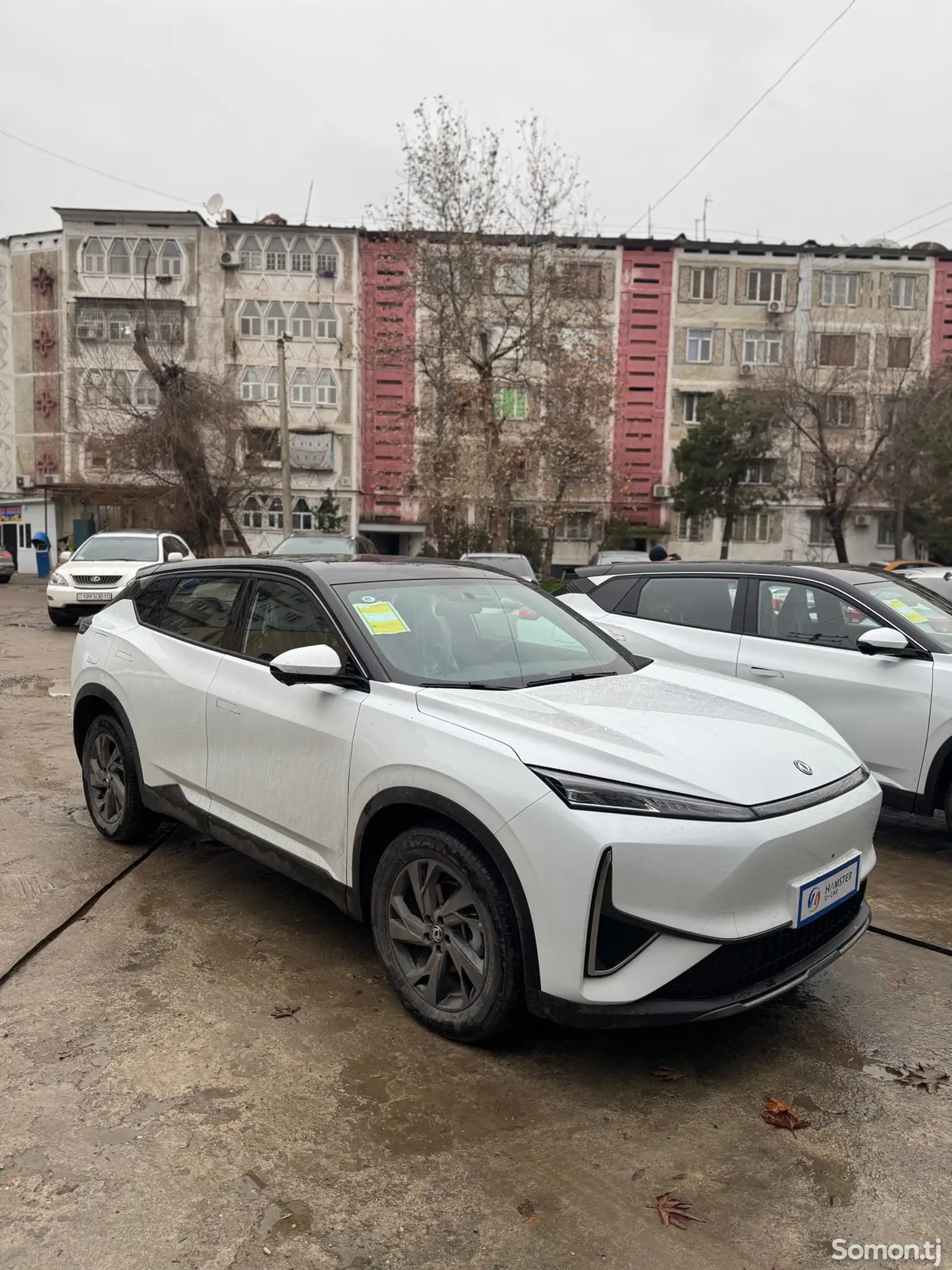 Dongfeng Landian E5, 2024-1