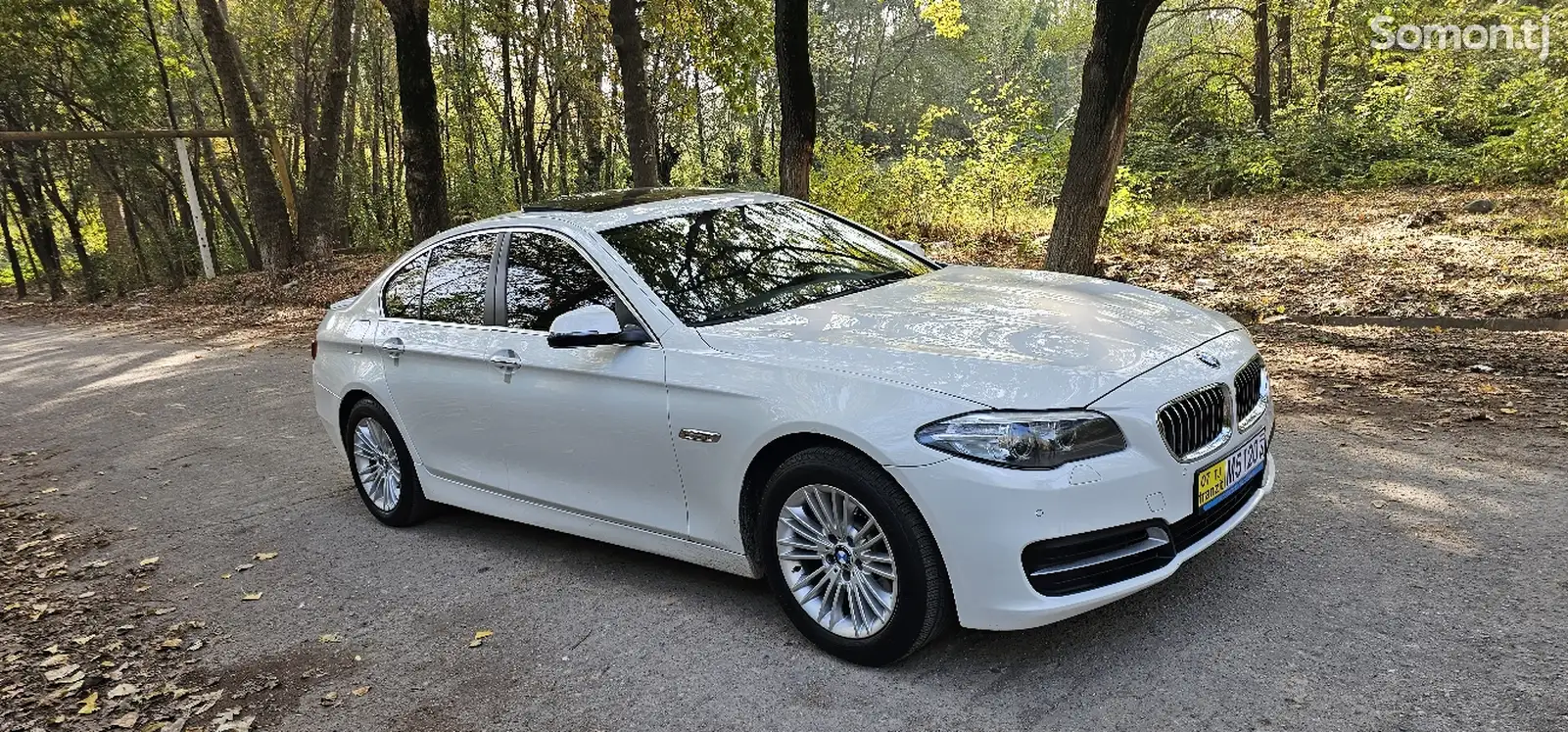 BMW 5 series, 2015-1