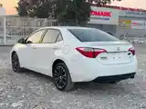 Toyota Corolla, 2014-7