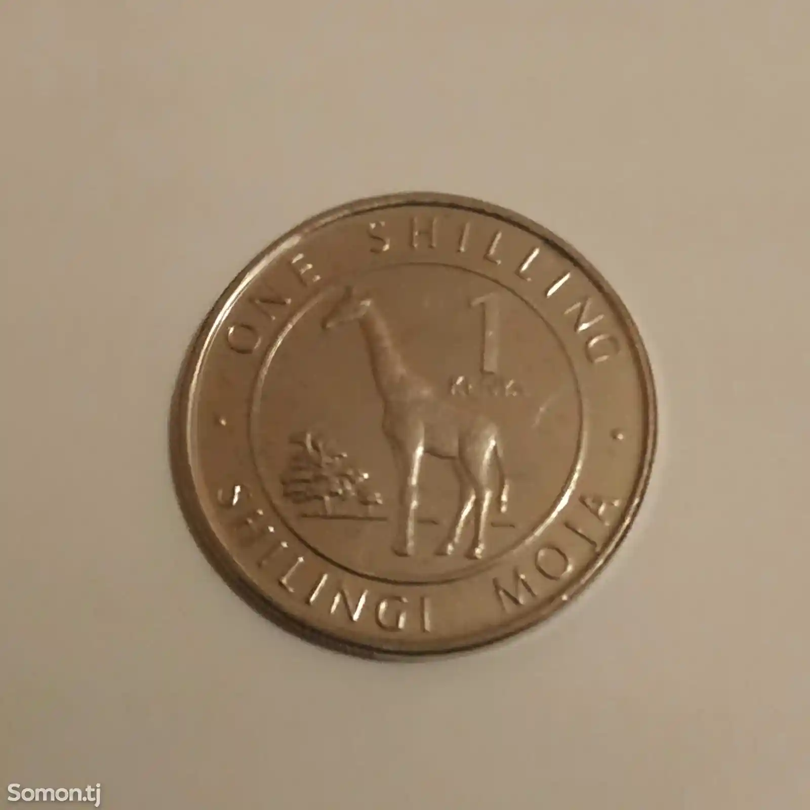 Набор монет Кении - Животный мир-4