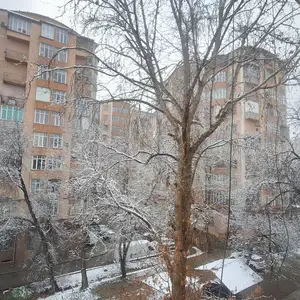 3-комн. квартира, 8 этаж, 80 м², 91мкр