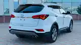 Hyundai Santa Fe, 2017-3