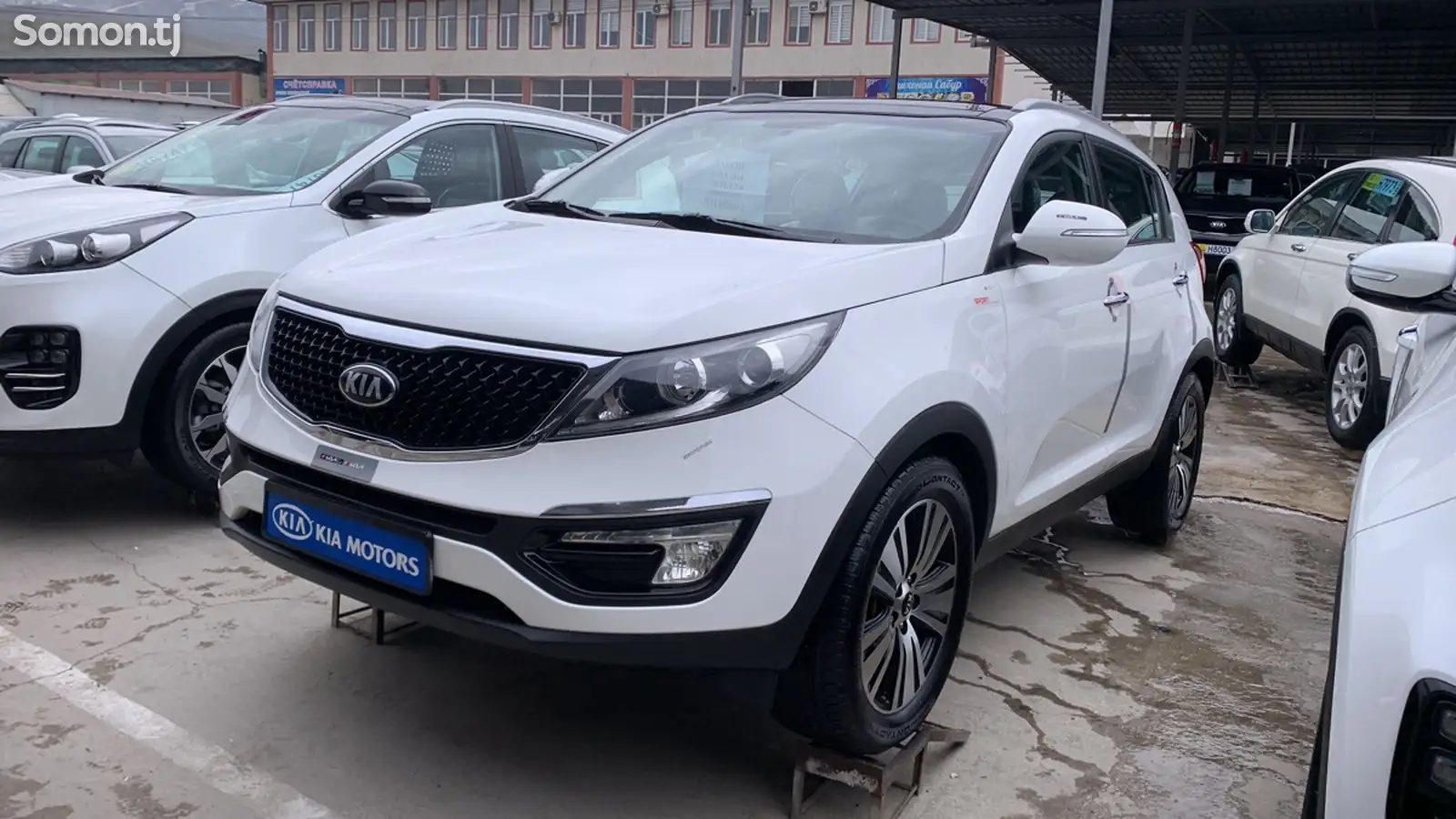 Kia Sportage, 2014-1