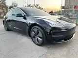 Tesla Model 3, 2019-3