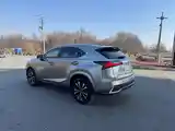 Lexus NX series, 2021-4