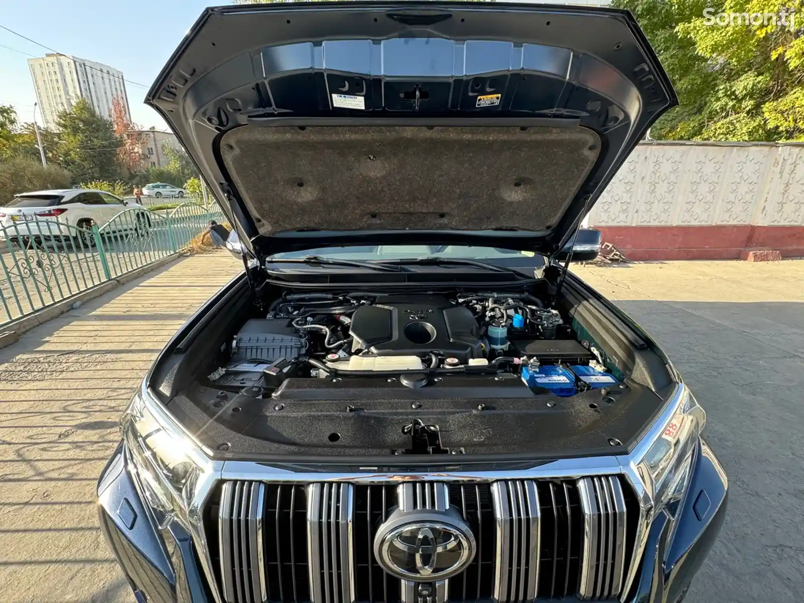 Toyota Land Cruiser Prado, 2021-14