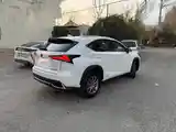 Lexus NX series, 2021-5