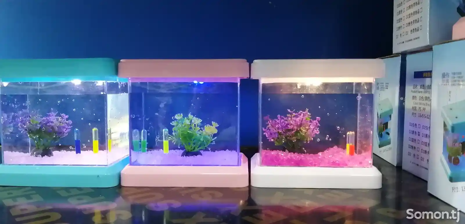 Мини-аквариум-5