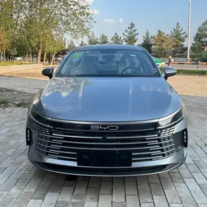 BYD Другие модели, 2024