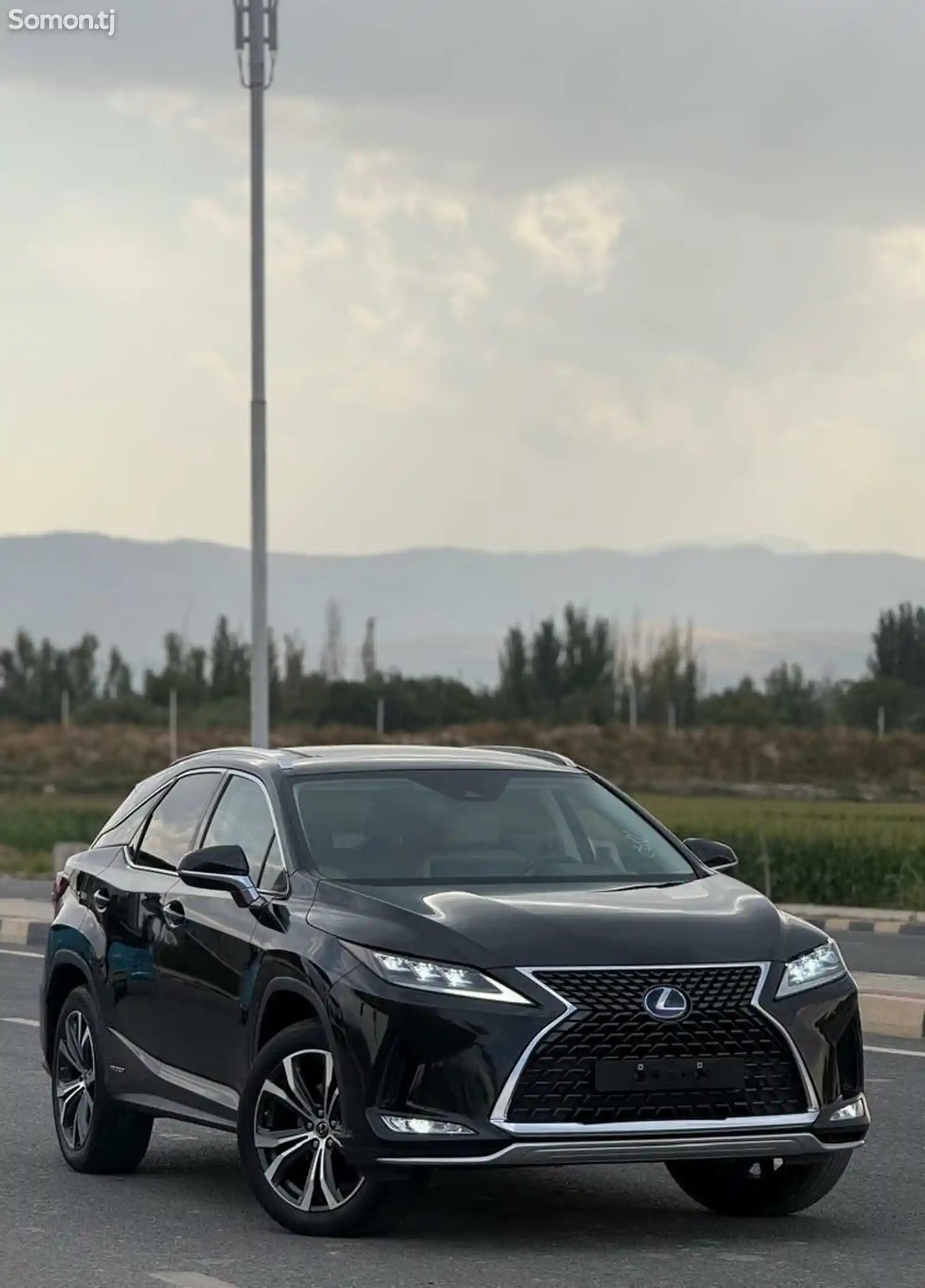 Lexus RX series, 2022-7