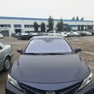 Лобовое стекло фиолетовый на Toyota Camry 6