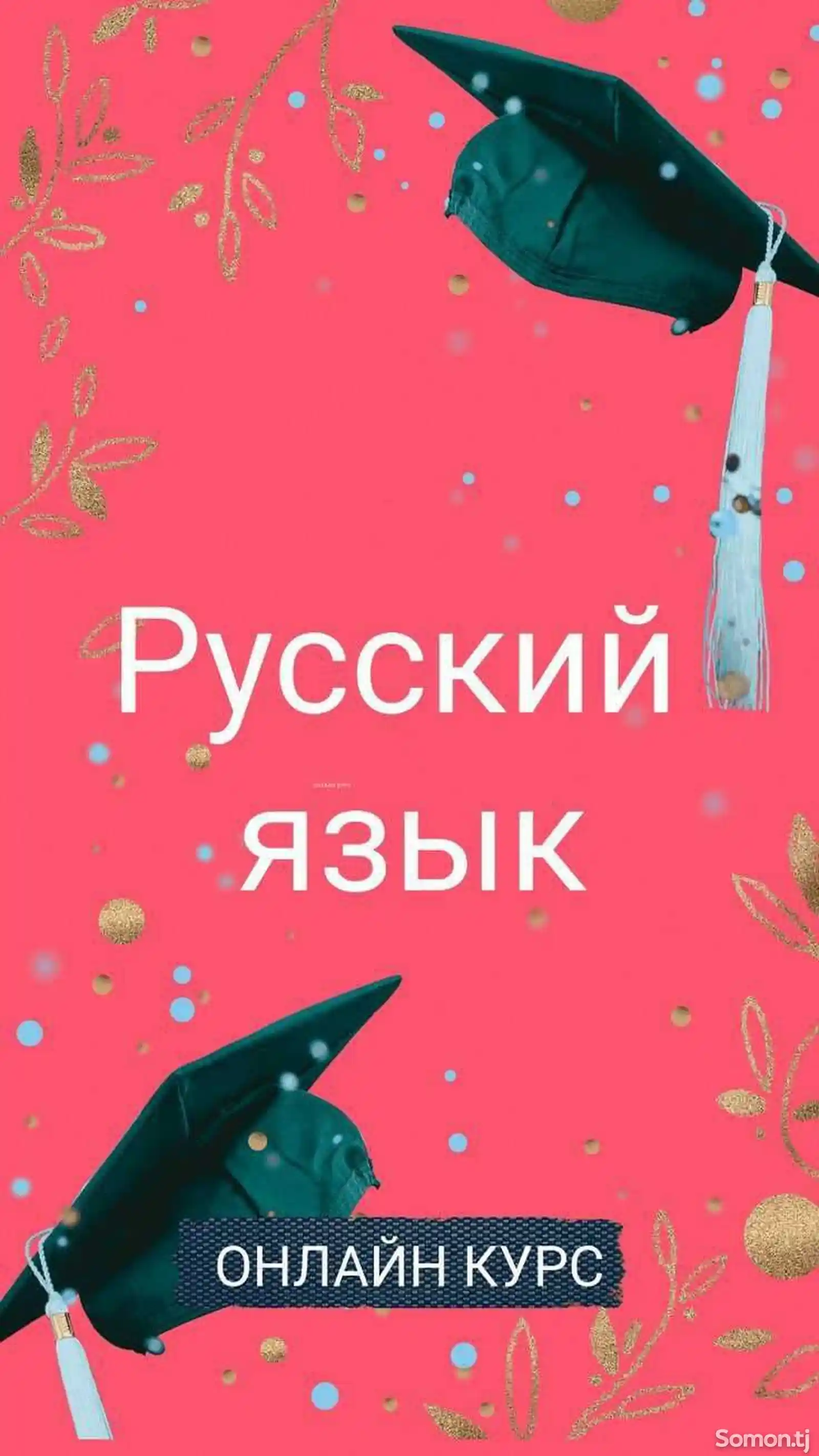 Онлайн занятия русского языка для взрослых и детей-3