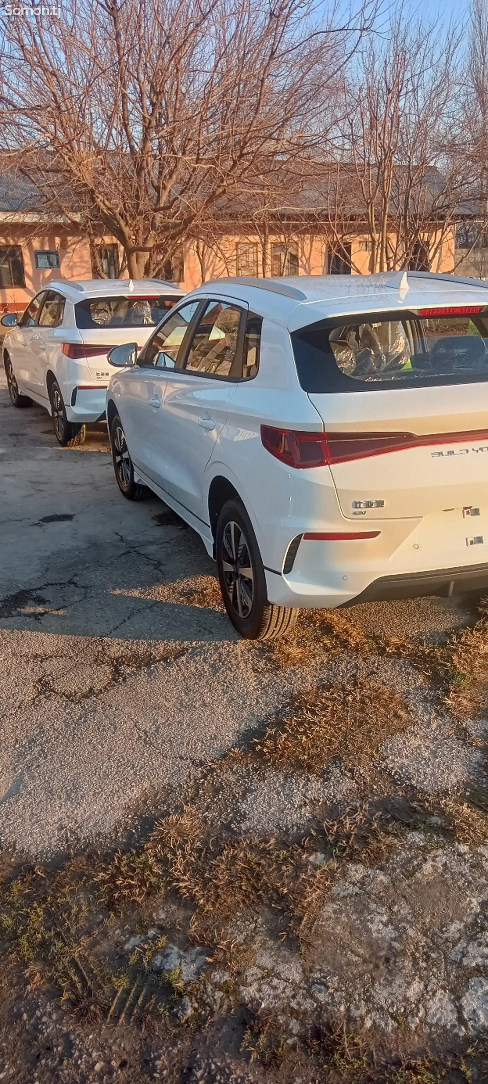 BYD E2, 2024-1