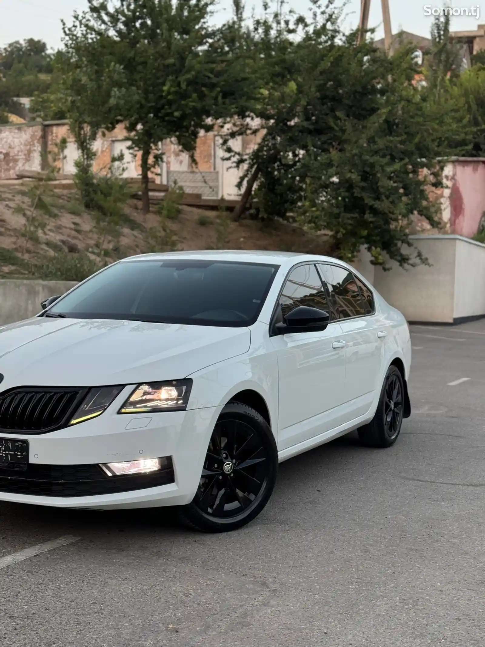 Skoda Octavia, 2019-2