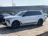 BMW X7, 2023-5