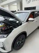 Dongfeng Landian E5, 2024-9