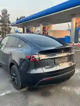 Tesla Model Y, 2024-8