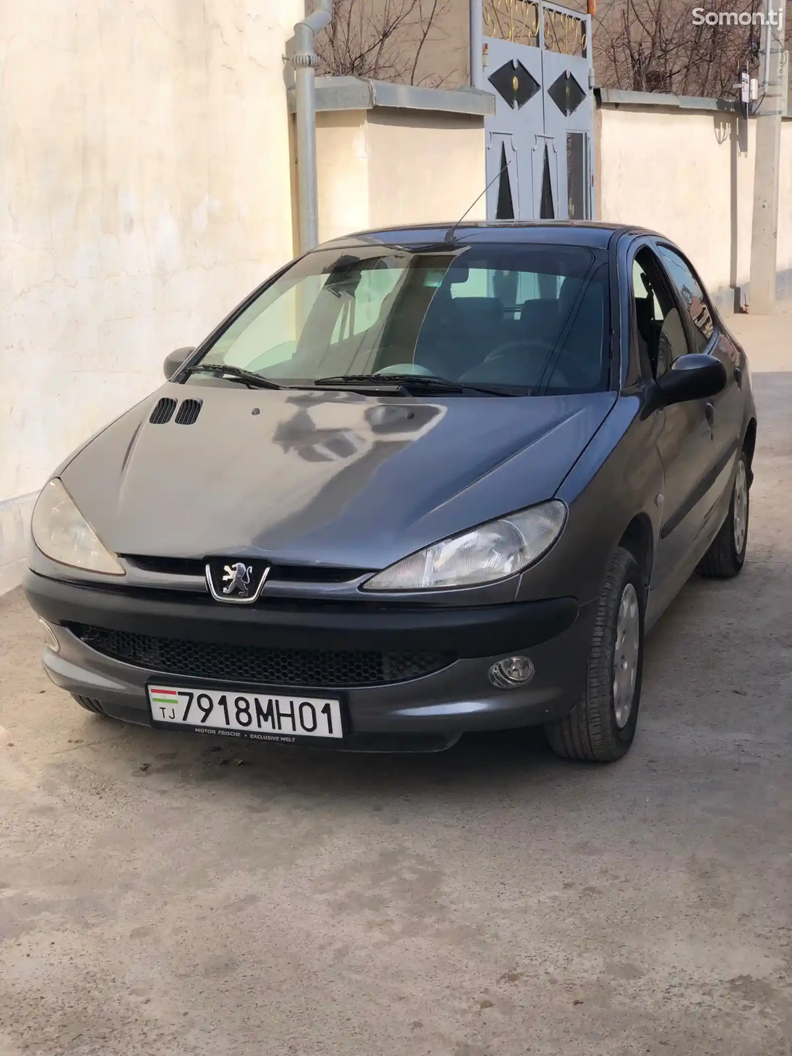 Peugeot 206, 2006-2