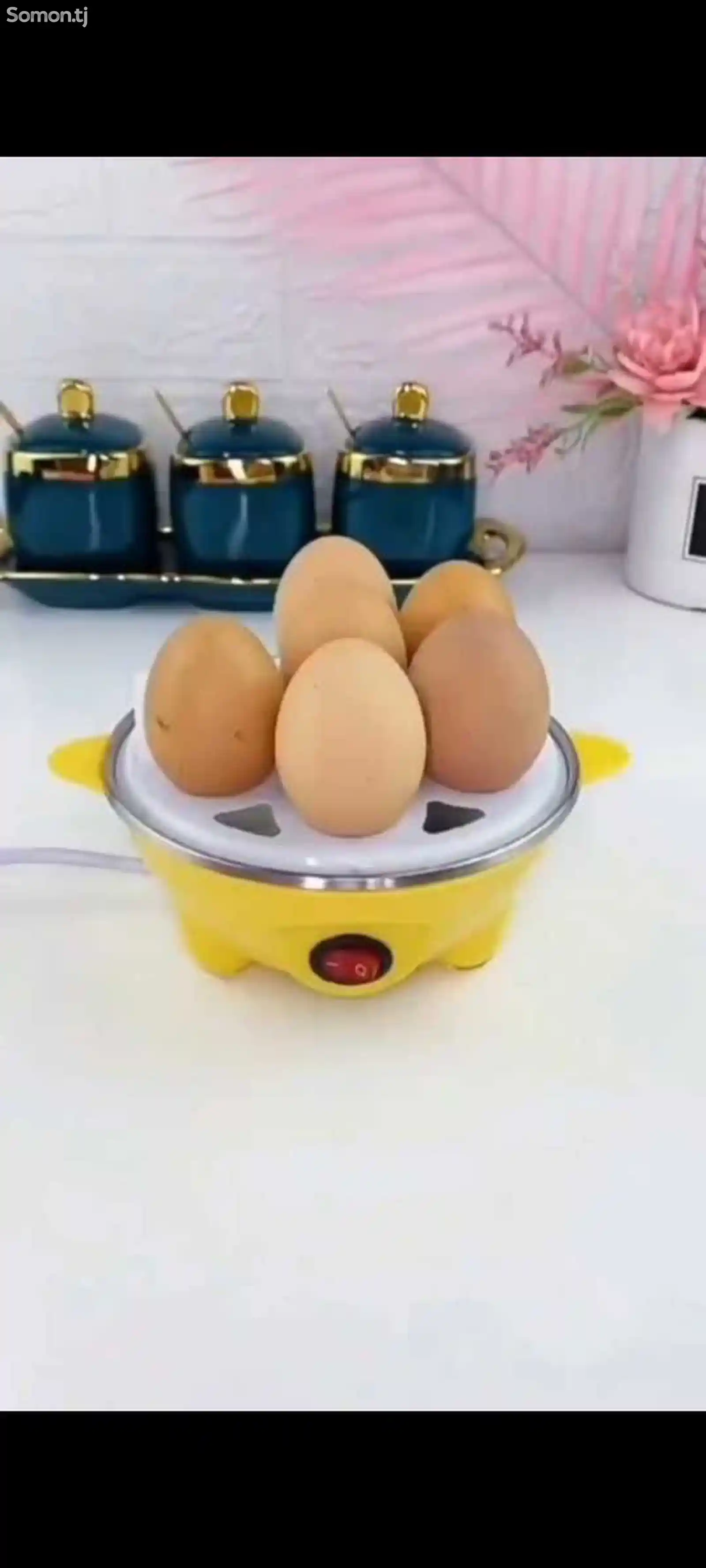 Аппарат для варки яиц-1