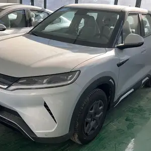 BYD Yuan, 2024