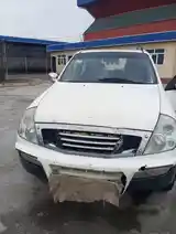 Ssang Yong Rexton, 2002-8