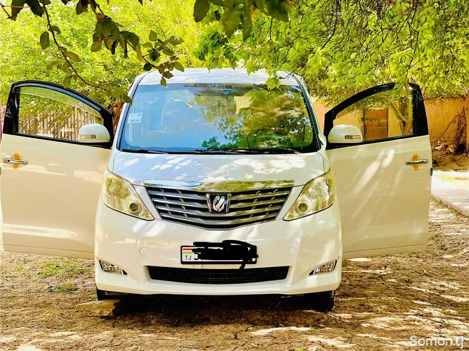 Toyota Alphard, 2009-7