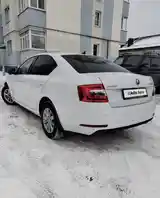 Skoda Octavia, 2017-5