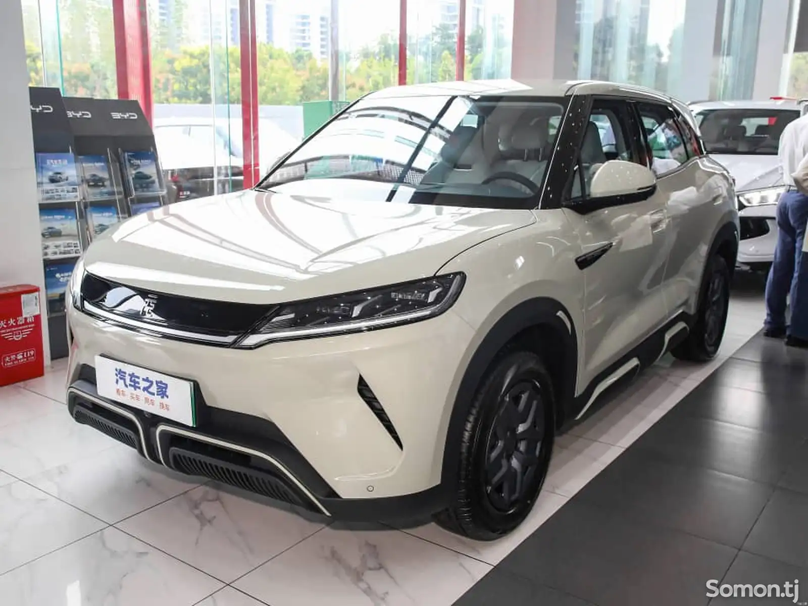 BYD Yuan Up, 2024-1