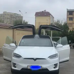 Tesla Model X, 2018