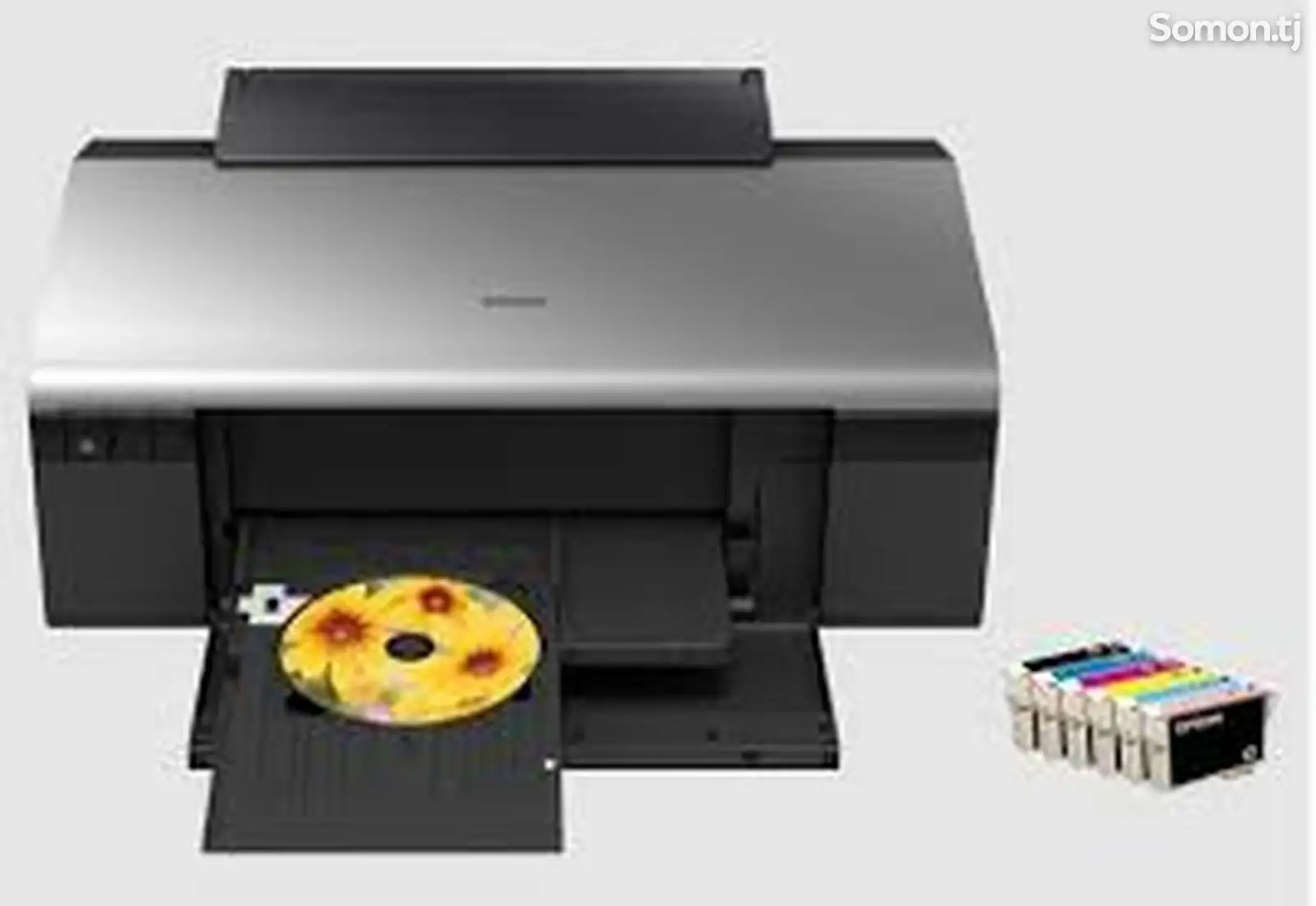 Принтер Epson R290 A4 Professional Artisan-1