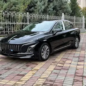 Hongqi E-QM5, 2024