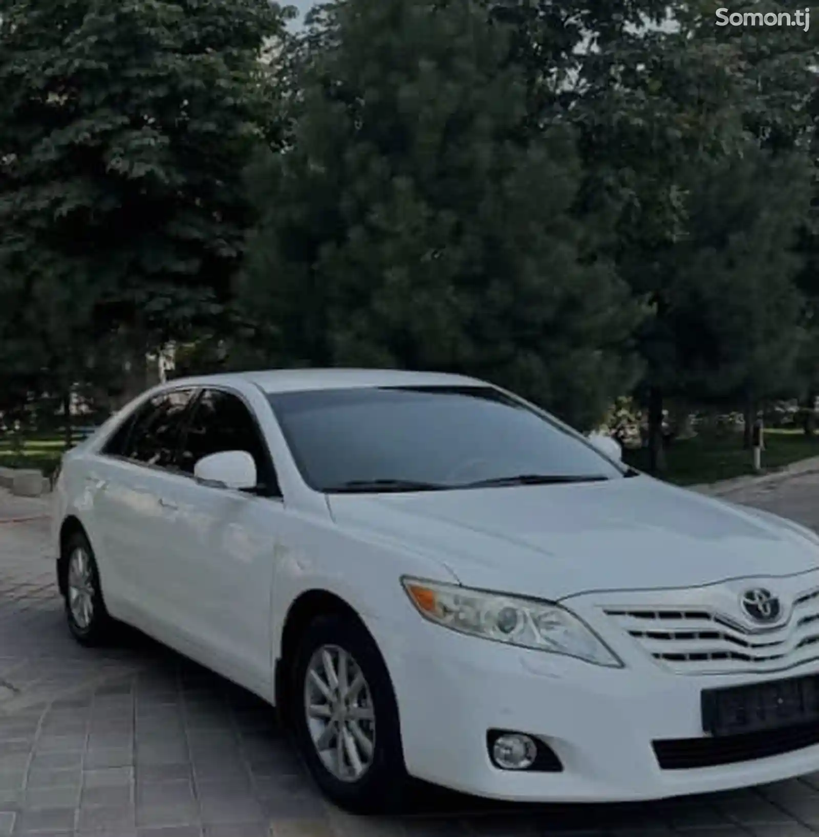 Toyota Camry, 2010-3