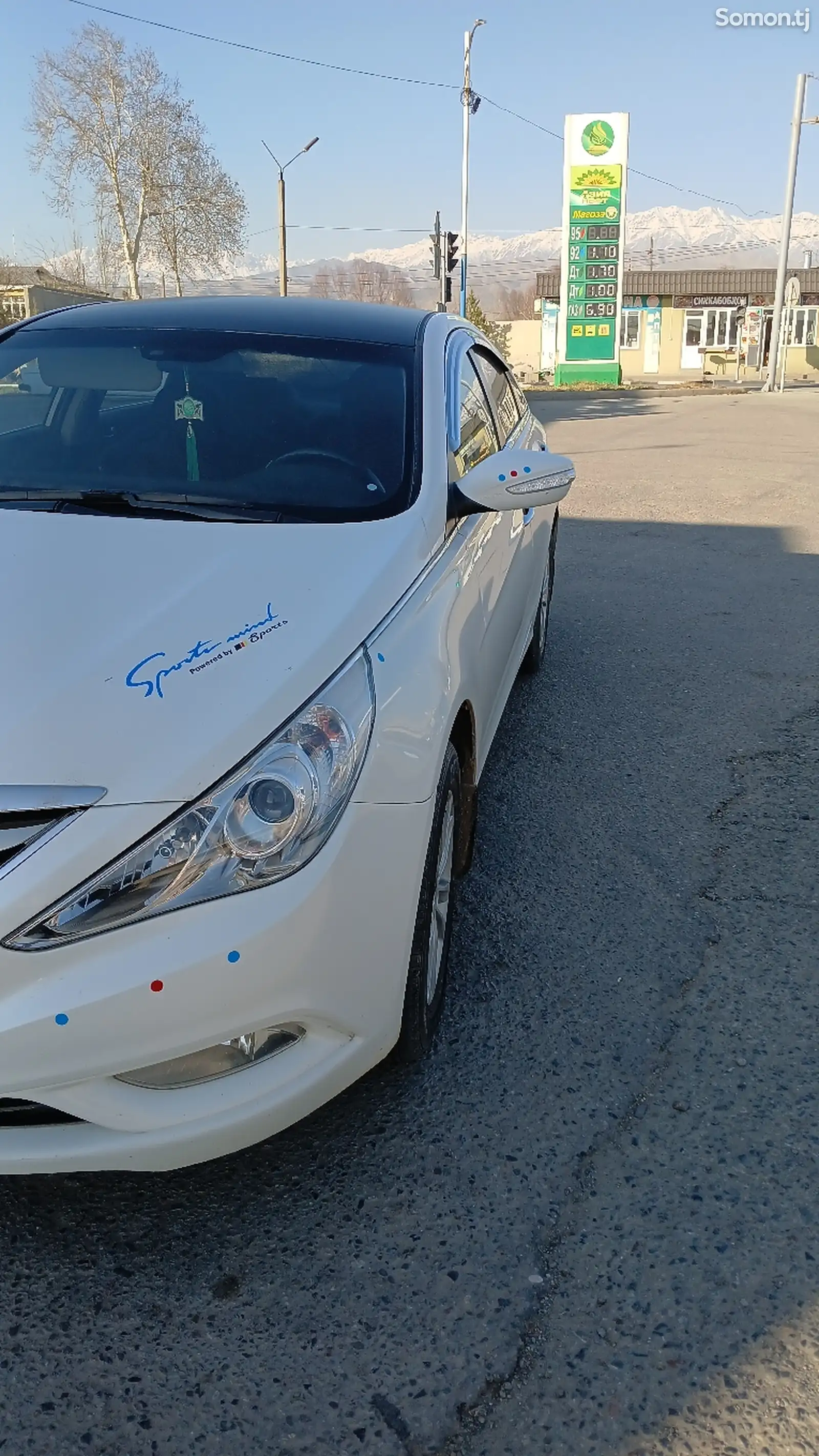 Hyundai Sonata, 2010-1