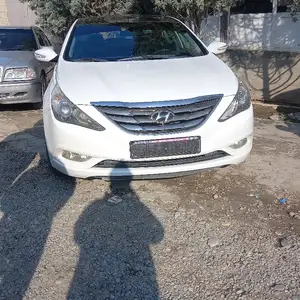 Hyundai Sonata, 2010