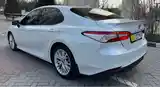 Toyota Camry, 2019-7