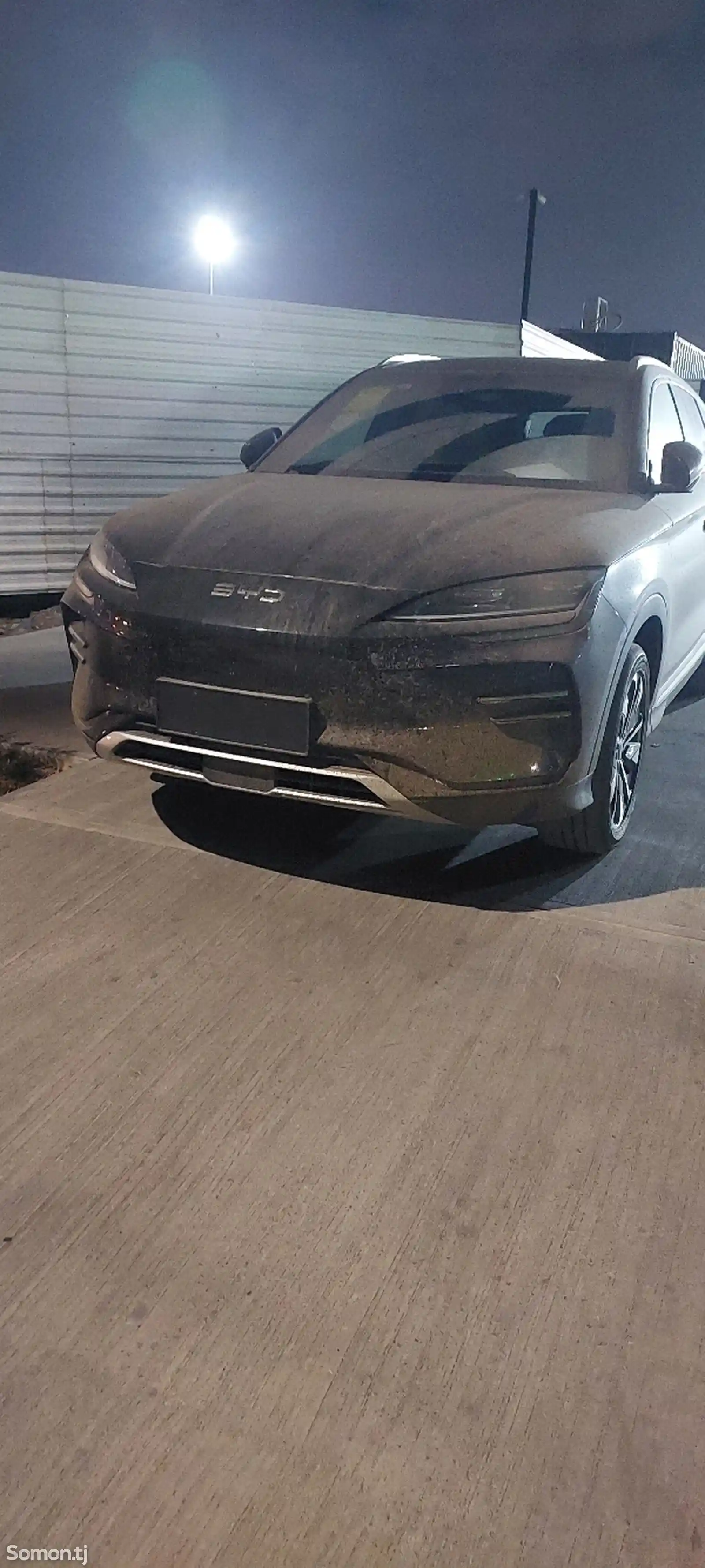 BYD Corvette, 2024-2