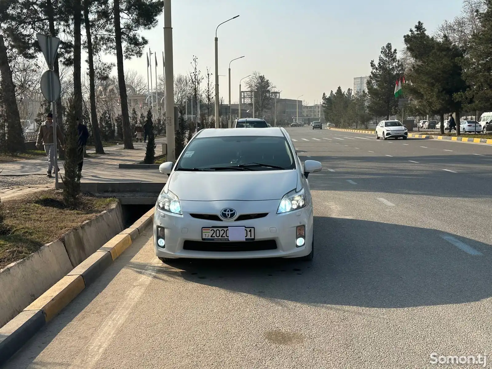 Toyota Prius, 2010-1