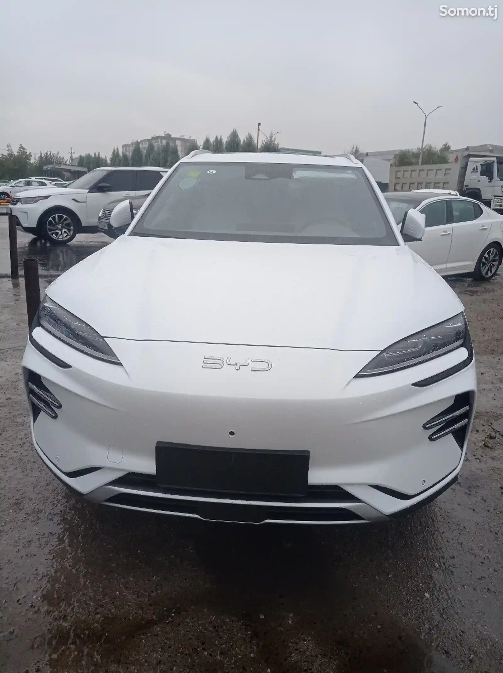 BYD Song Plus Flagship, 2024-1