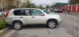 Nissan X-Trail, 2007-6