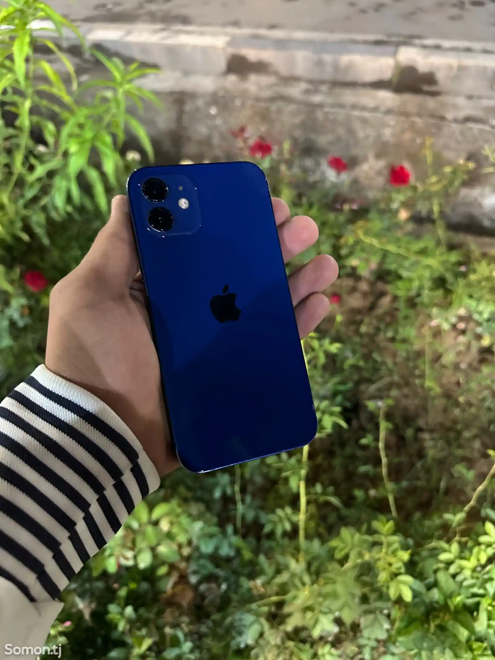 Apple iPhone 12, 64 gb, Blue-1