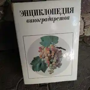 Книга - Энциклопедия виноградарства