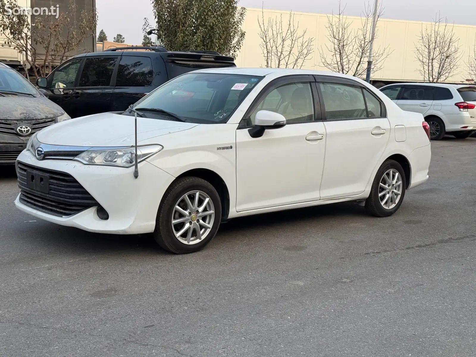 Toyota Axio, 2015-1