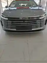 BYD Chazor, 2024-2