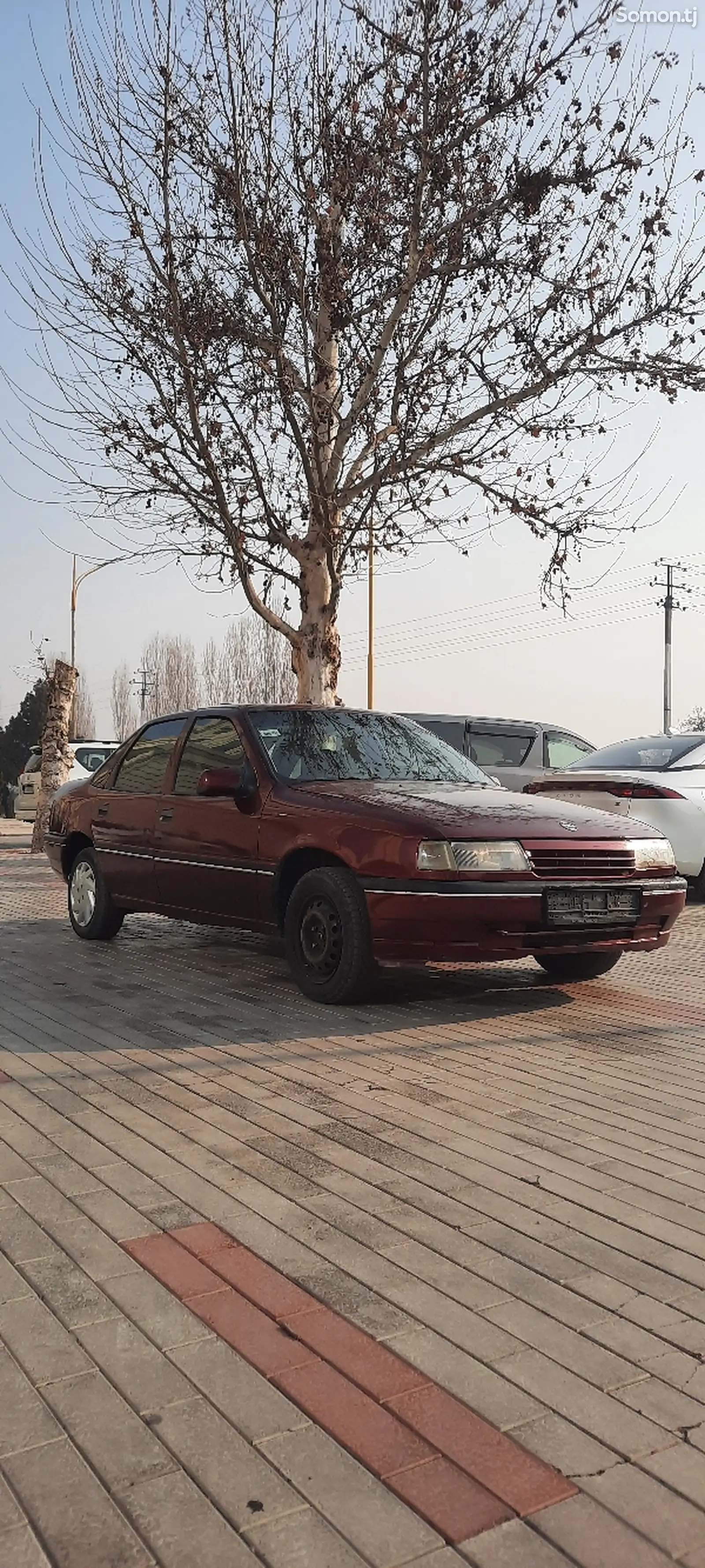 Opel Vectra A, 1992-1