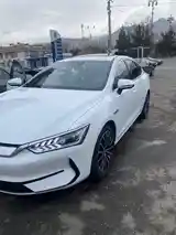 BYD Qin Plus, 2023-2