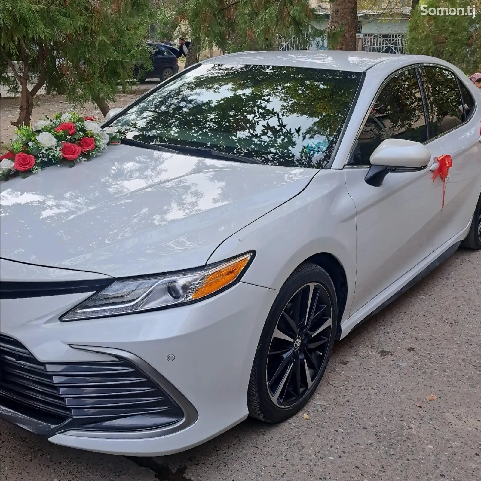 Toyota Camry, 2019-1