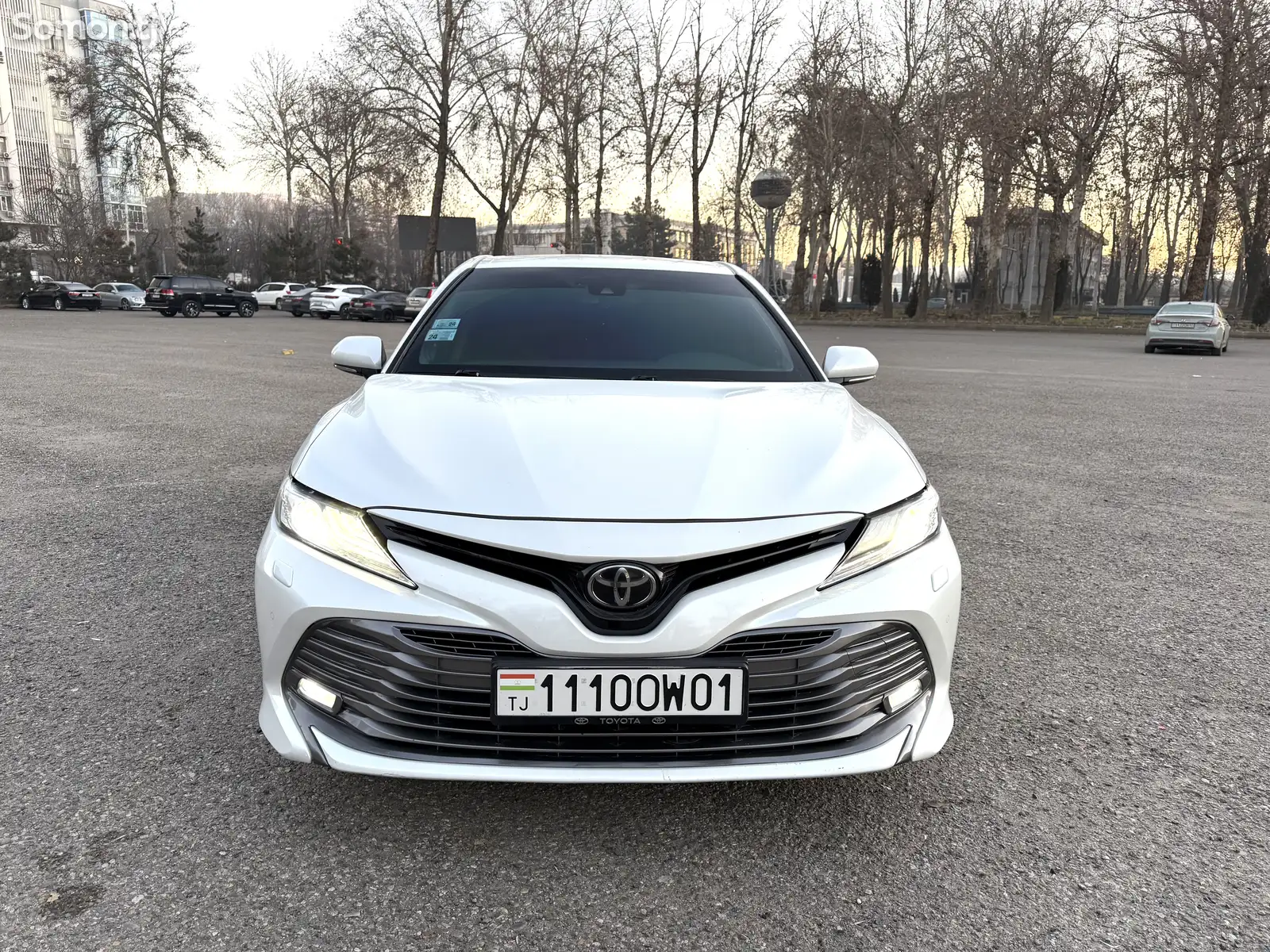 Toyota Camry, 2019-1