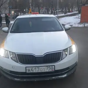 Skoda Octavia, 2017